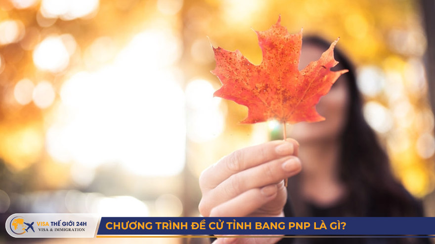 Chương trình để cử tỉnh bang PNP là gì