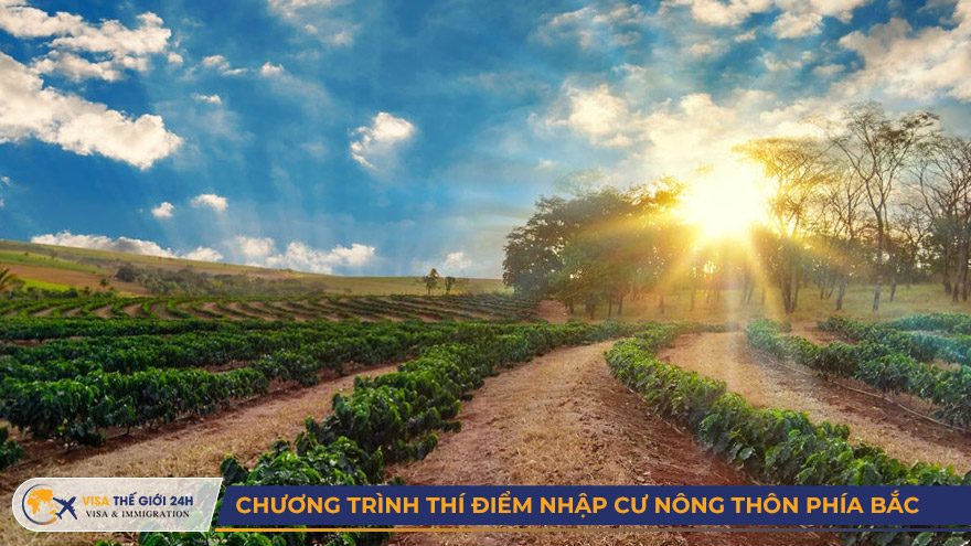 Chương trình thí điểm nhập cư Nông thôn phía Bắc (RNIP)