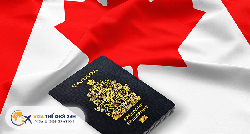 Làm gì khi bị từ chối visa Canada?